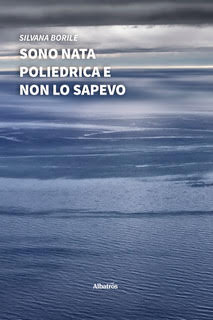 Copertina del libro